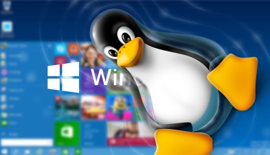 win-10-linux